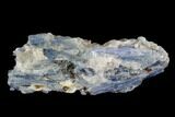 Vibrant Blue Kyanite Crystal Cluster - Brazil #97954-1